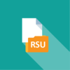 2021 - Synthèse RSU